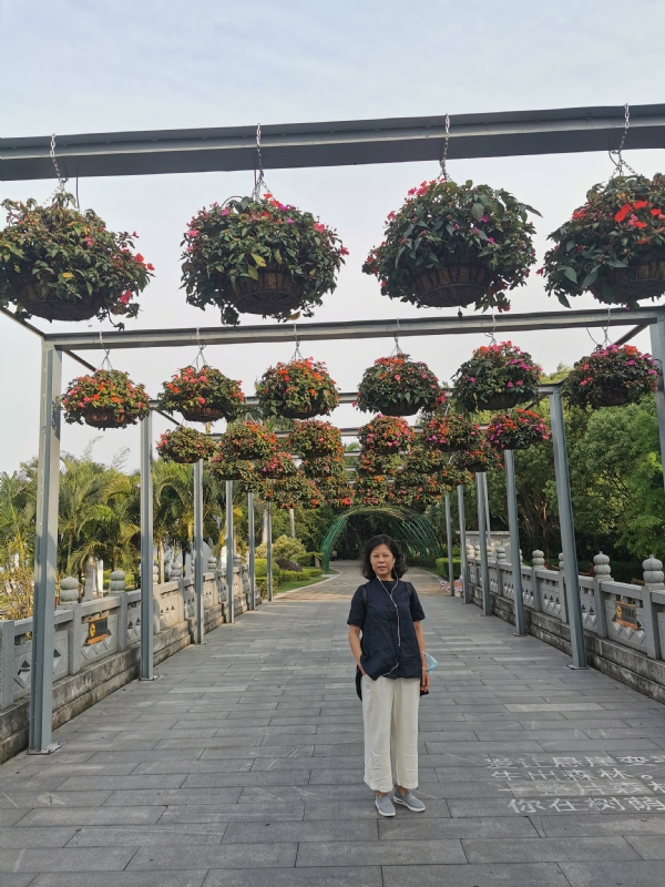 一叶知秋的第二张照片--惠安征婚网