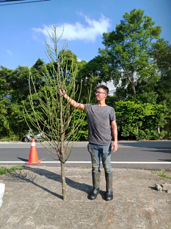 jeff的第二张照片--惠安征婚网
